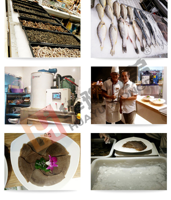 高效餐饮管理利器 200公斤海鲜保鲜片冰机的应用与价值